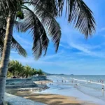 Biển