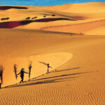 Du lich phan thiet ivivu1