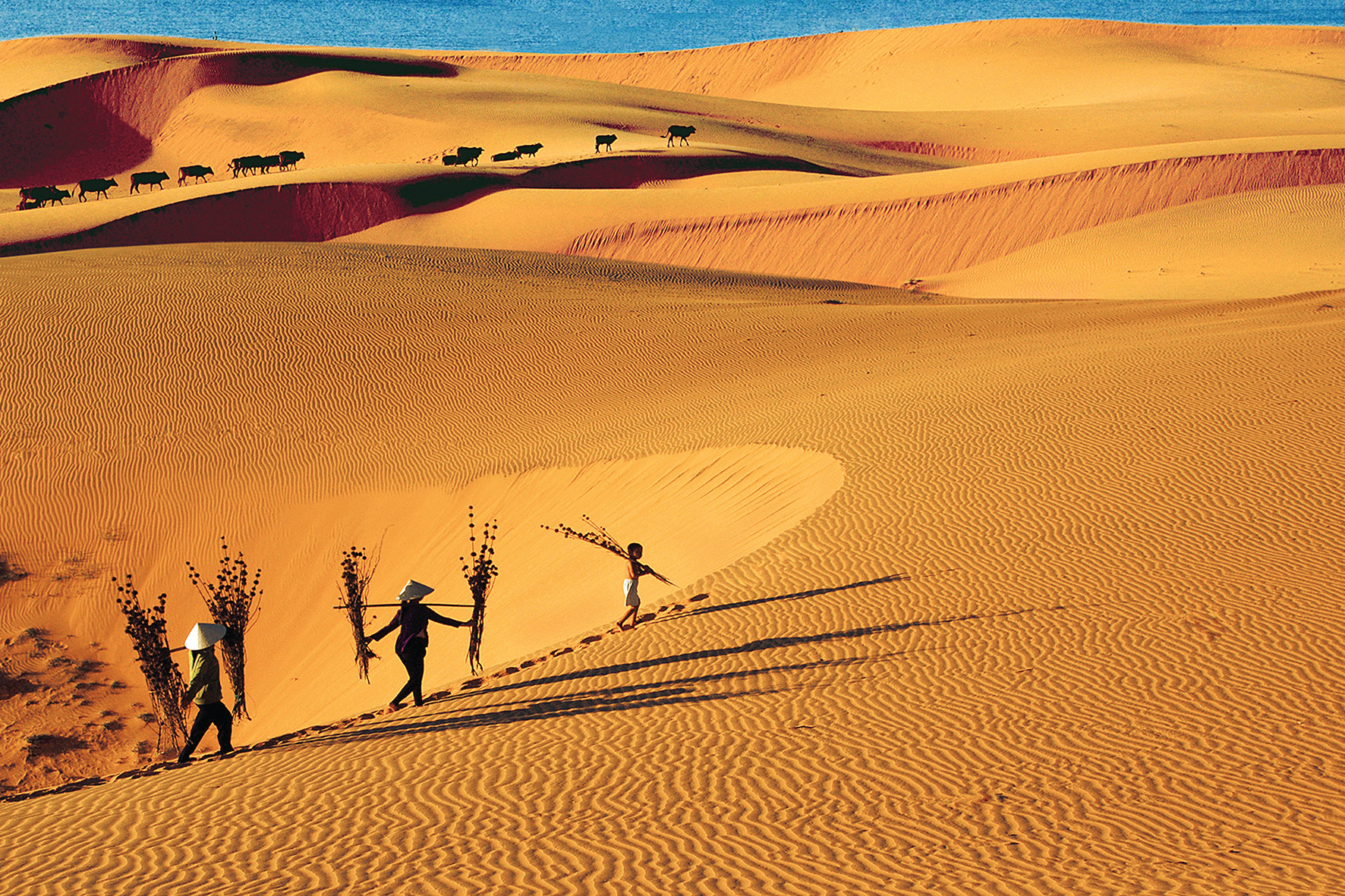 Du lich phan thiet ivivu1